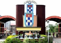 Advantages and Disadvantages of Studying in a Private University in Nigeria