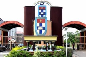 Advantages and Disadvantages of Studying in a Private University in Nigeria