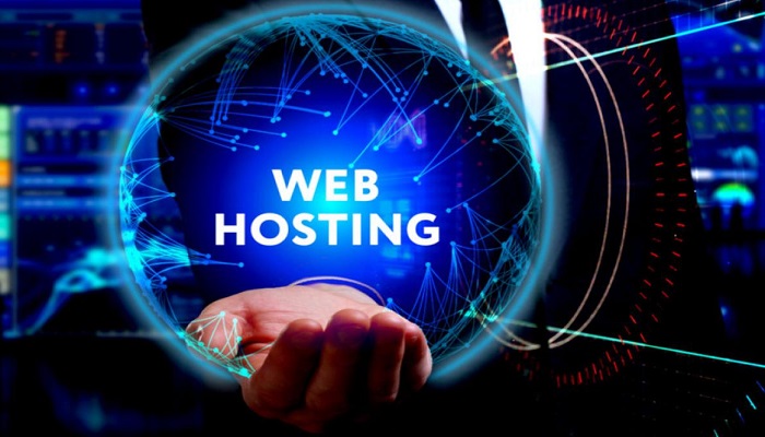 Web Hosting Company