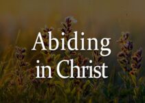 Prayer for Abiding in Christ