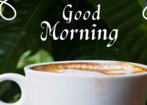 200 Good Morning Messages, Wishes & Quotes