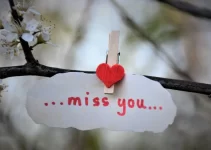 200 Miss You Messages and Quotes for SMS & WhatsApp