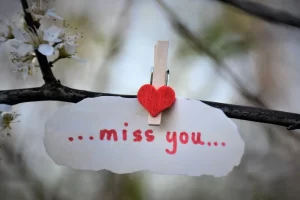 200 Miss You Messages and Quotes for SMS & WhatsApp