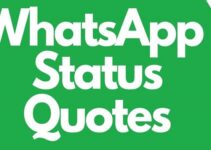 500 WhatsApp Status Quotes Quotes