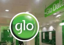 How to Borrow Data from Glo Network