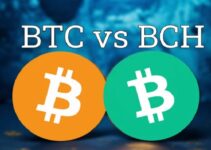 Main Difference Between Bitcoin and Bitcoin Cash