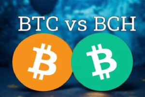 Main Difference Between Bitcoin and Bitcoin Cash