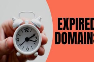 How Long it Takes an Expired Domain to Get Deleted