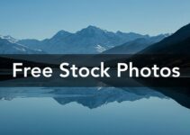 Top 20 Best Sites to get Free Stock Images