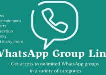 Free WhatsApp Group List – Add or Join a WhatsApp Group