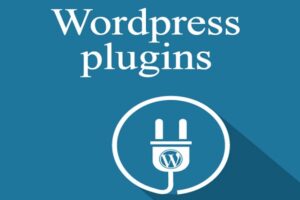 How Many WordPress Plugins Should I Install?