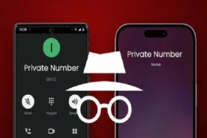 How to Reveal Private Number and Hidden Number for Free