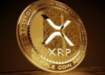 How to Buy and Invest in Ripple (XRP)