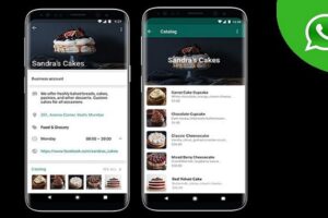 How to Use Catalog Feature on WhatsApp Business App