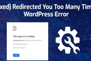 11 Ways to Fix WordPress Website Redirected You Too Many Times